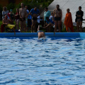 Schwimmen Jahnmehrkämpfe Freyburg 2021 1077
