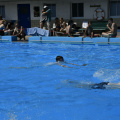 der Schwimmwettkampf 0038
